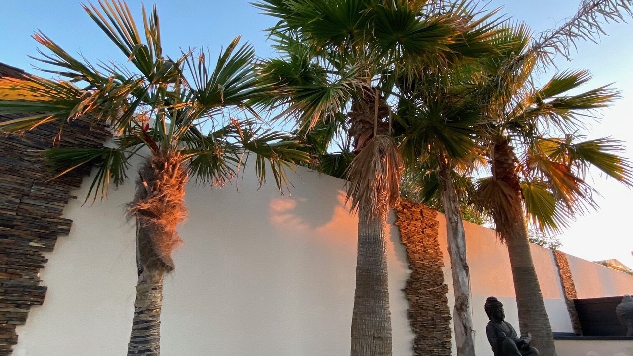 Photo of Outdoor in Le Grau-dʼAgde