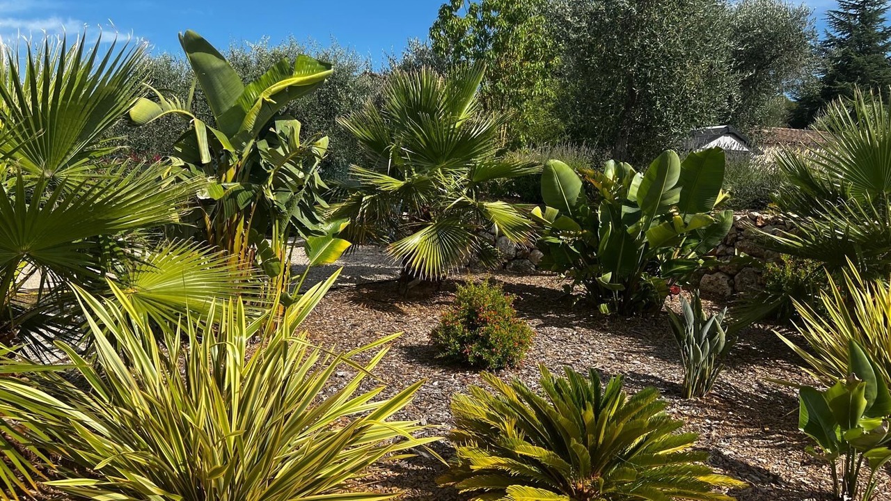 Photo of Outdoor in Peymeinade