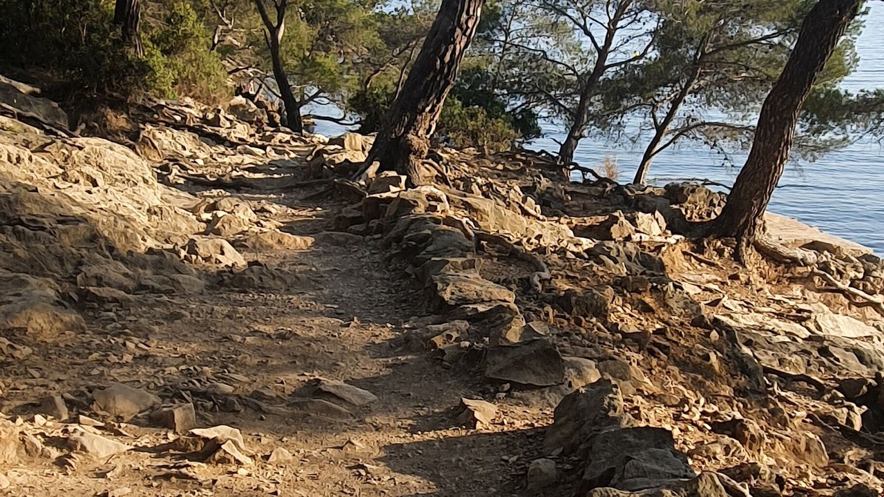 Photo of Outdoor in Le Castellet