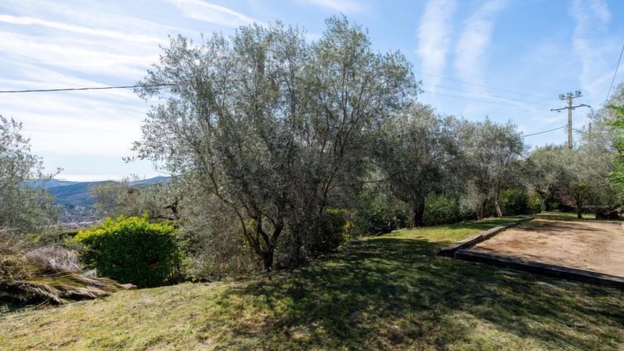 Photo of Outdoor in Speracedes