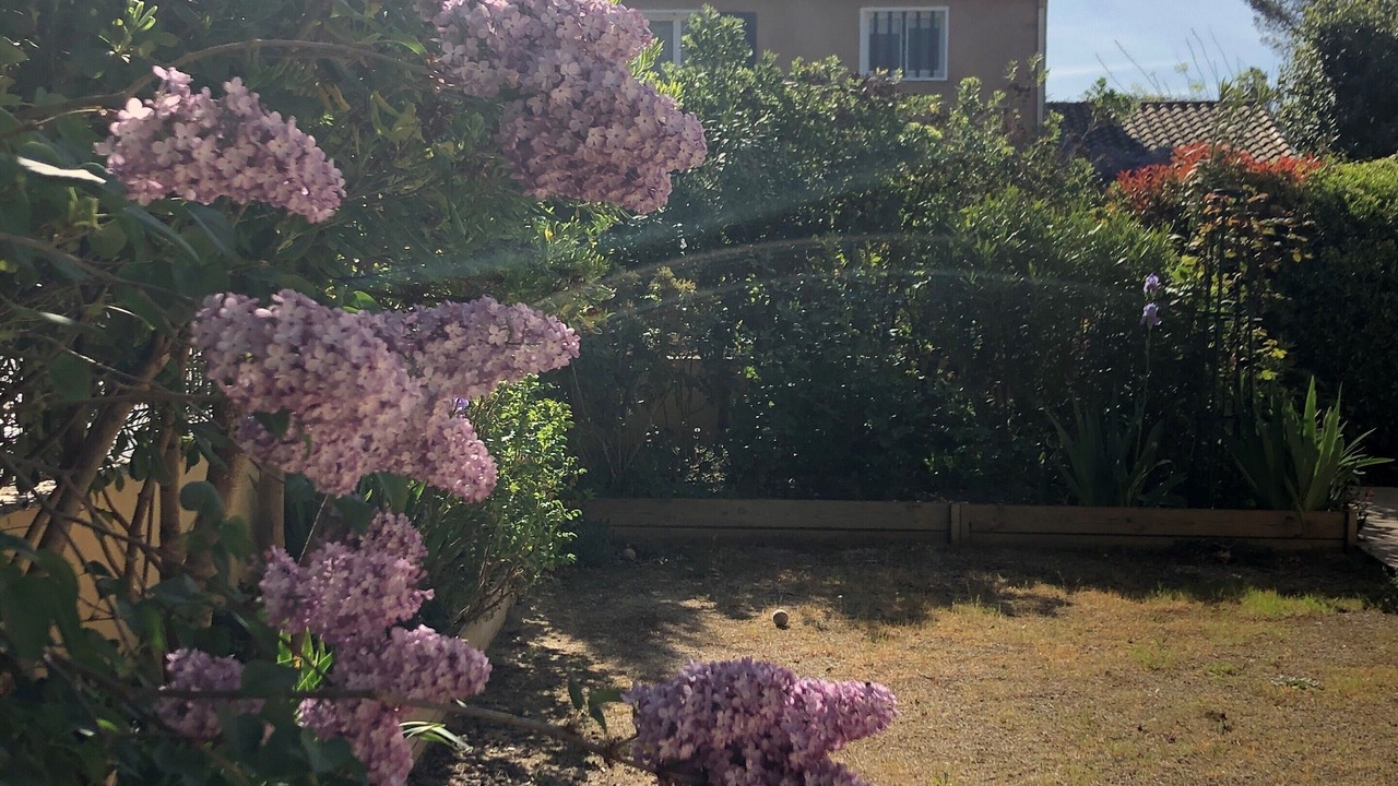Photo of Outdoor in Lambesc