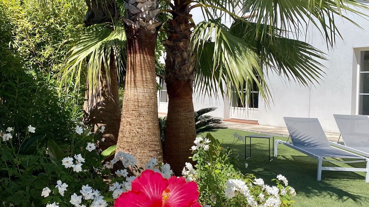 Photo of Outdoor in Grimaud