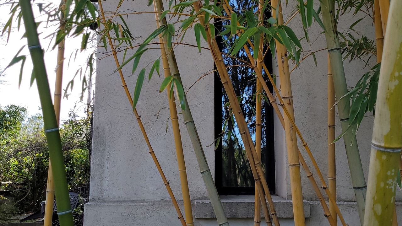 Photo of Outdoor in Carqueiranne