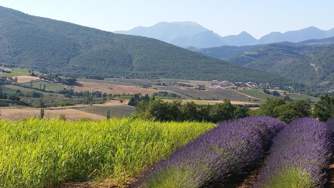 Photo of Outdoor in Tulette