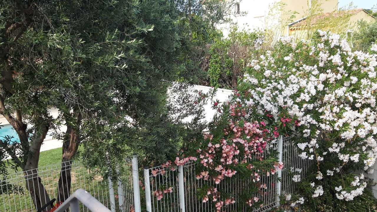 Photo of Outdoor in La Fare-les-Oliviers