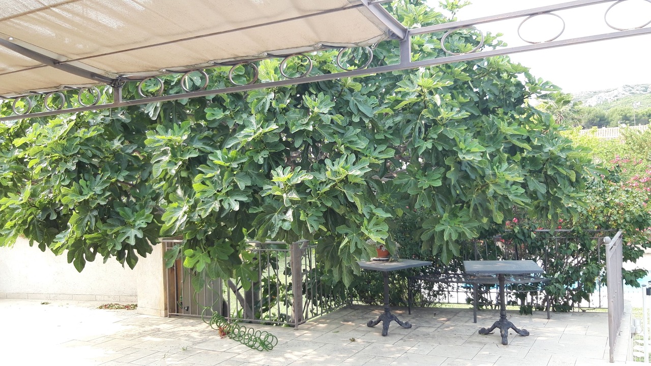 Photo of Outdoor in La Fare-les-Oliviers