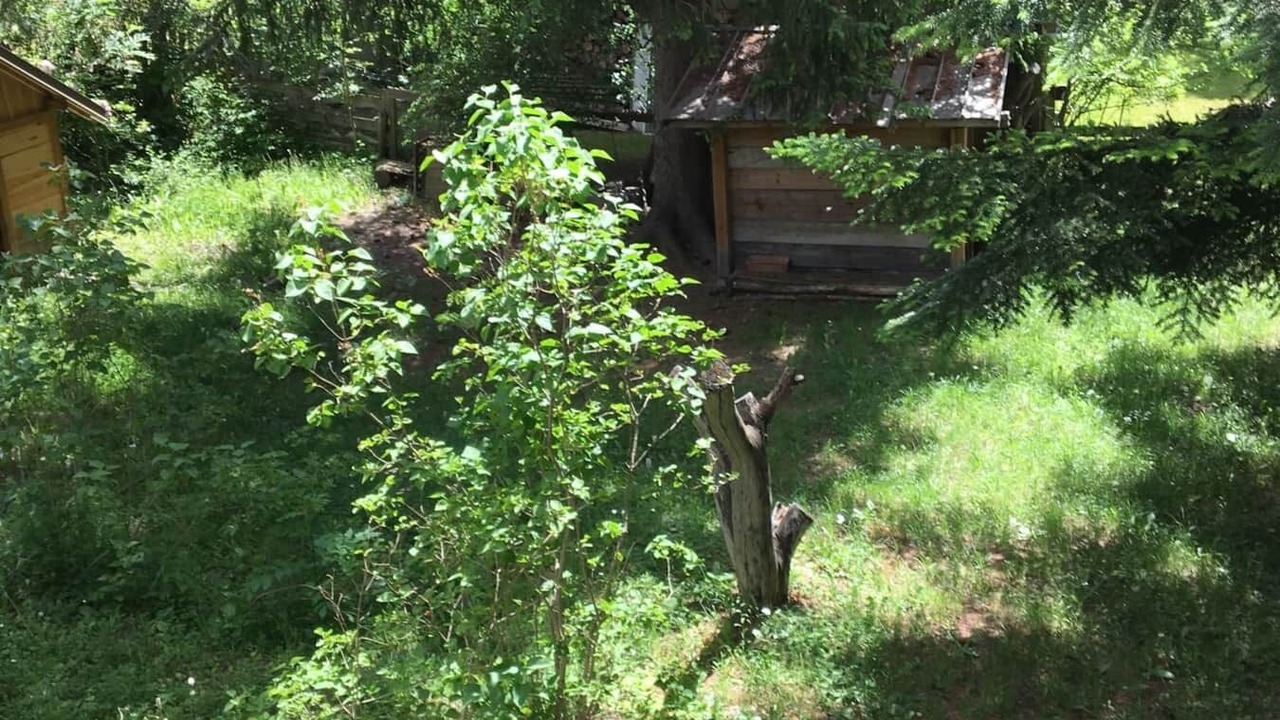 Photo of Others in La Salle-les-Alpes