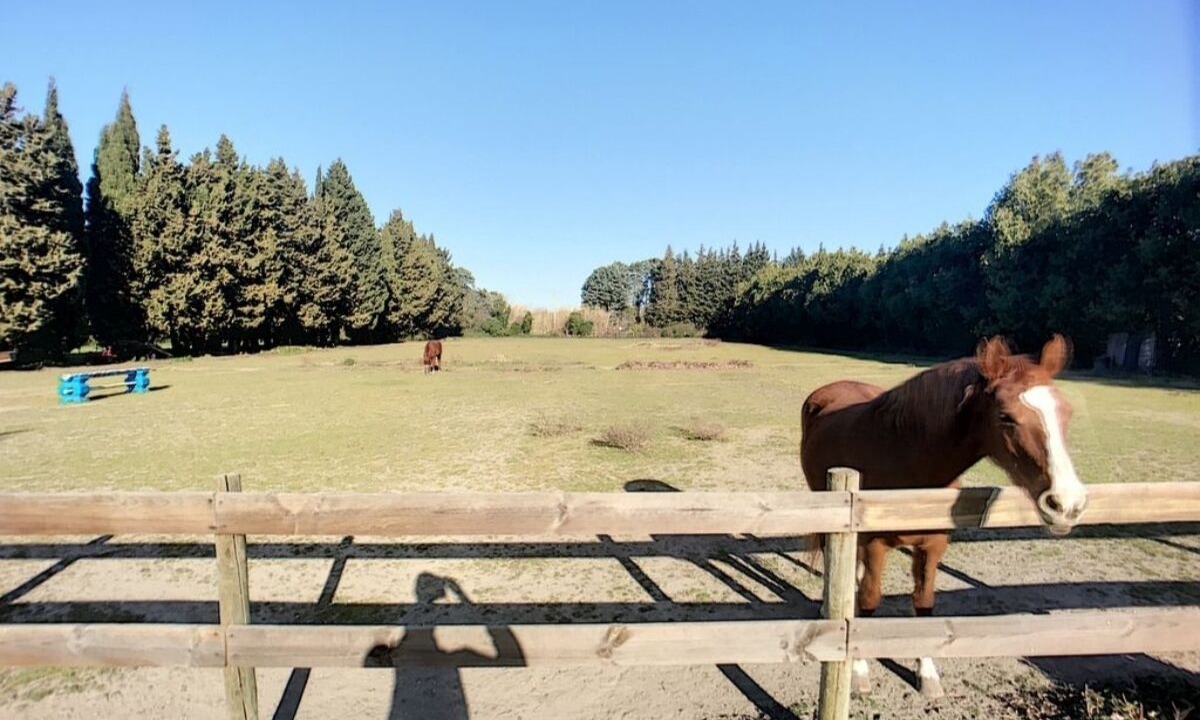 Photo of Outdoor in Eygalieres