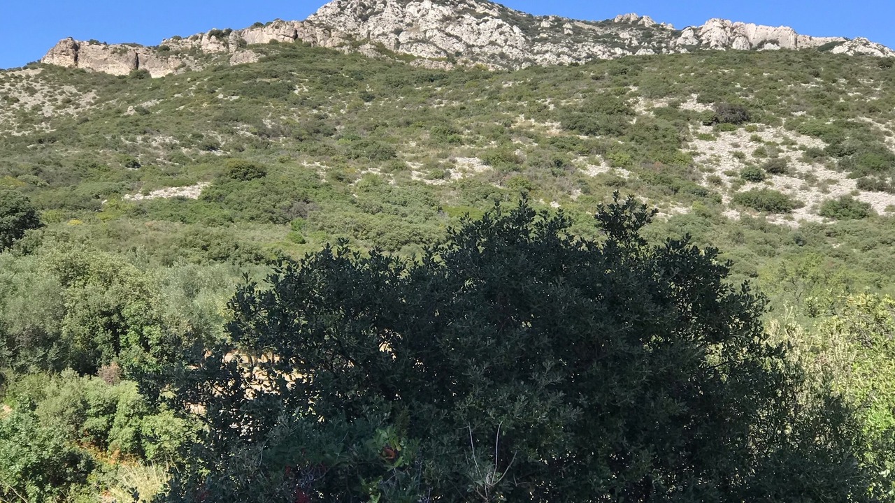 Photo of Others in Maussane