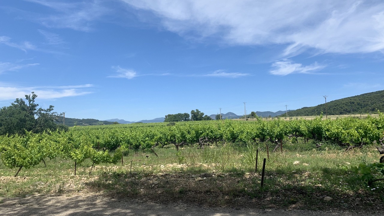 Photo of Outdoor in Saint-Marcellin-les-Vaison