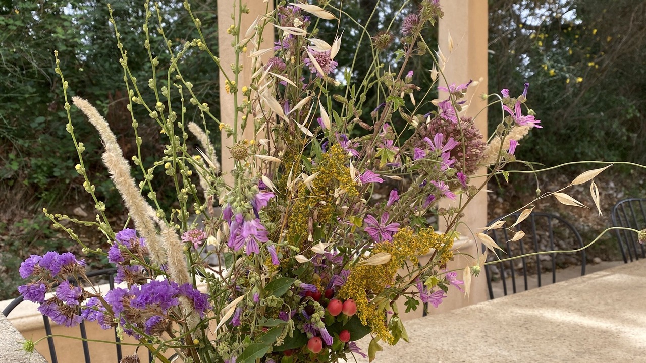 Photo of Outdoor in Bedoin