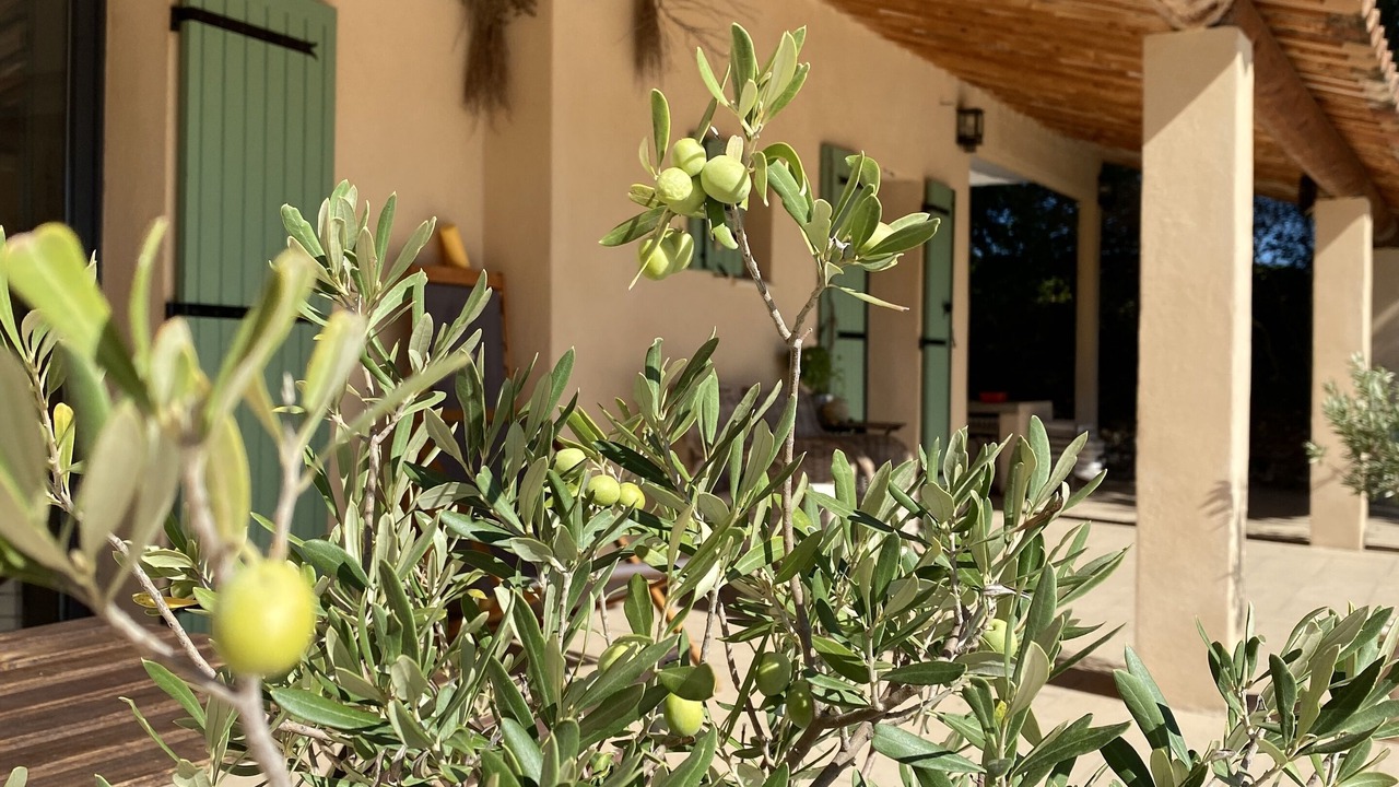 Photo of Outdoor in Bedoin