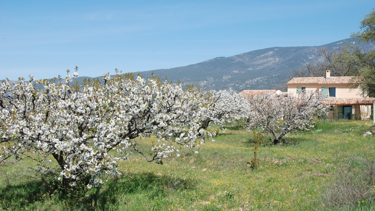 Photo of Outdoor in Bedoin