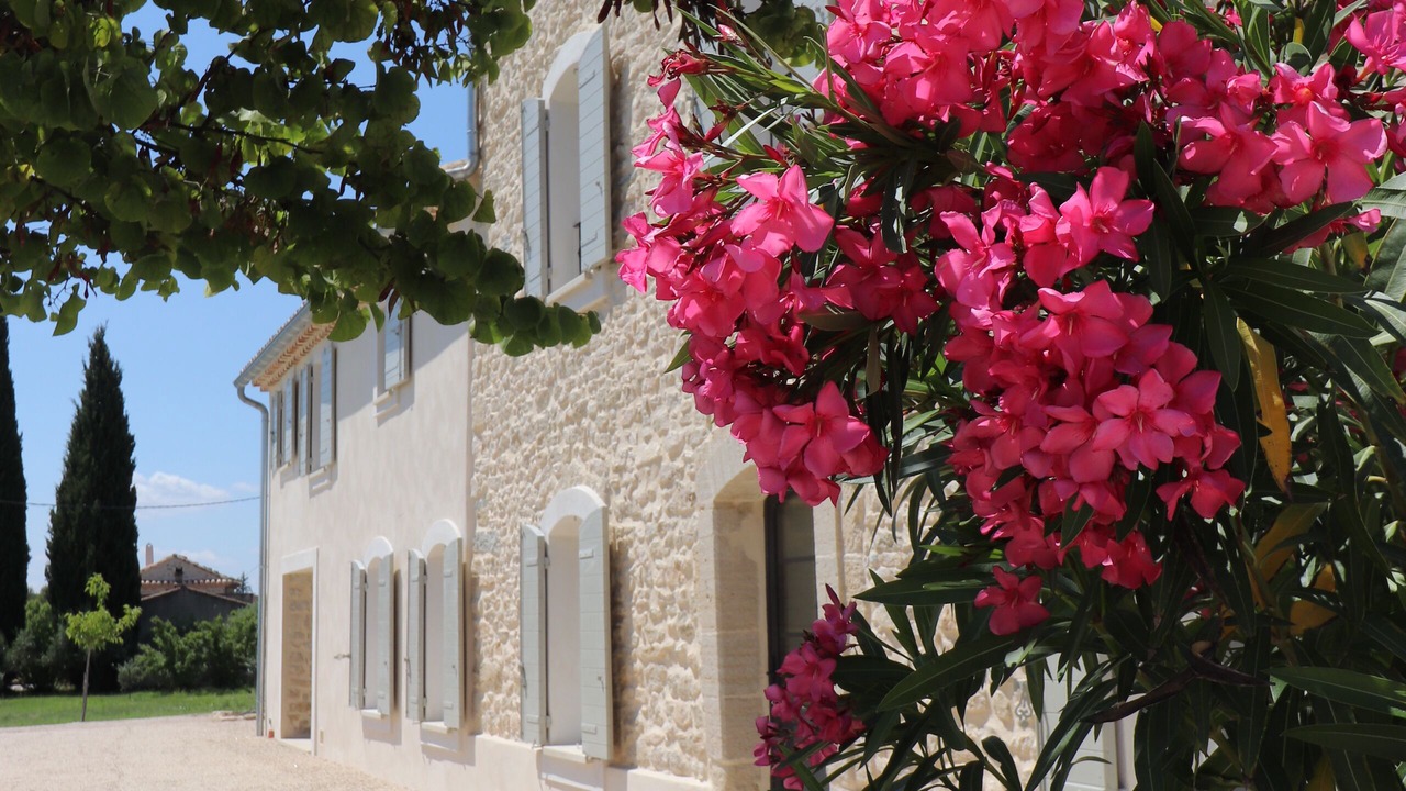 Photo of Outdoor in Caromb