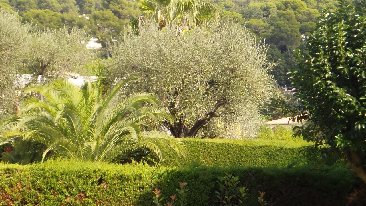 Photo of Outdoor in Le Cannet