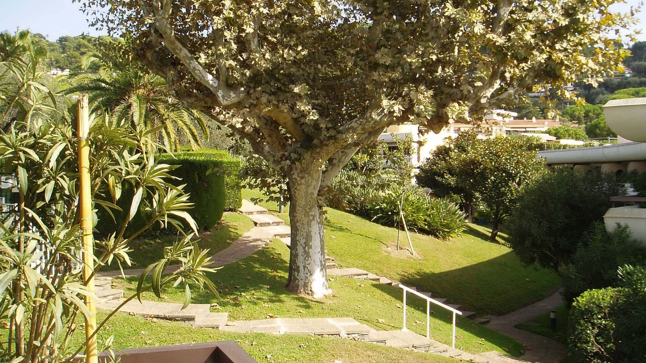 Photo of Outdoor in Le Cannet