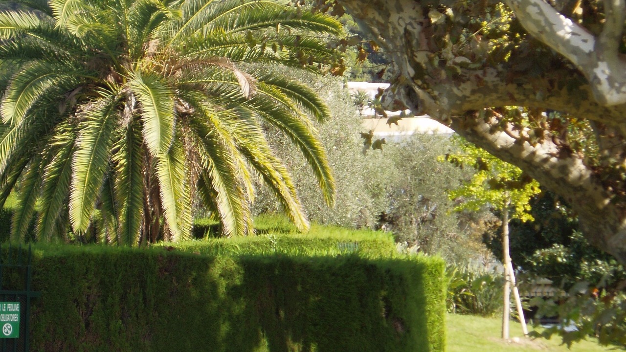 Photo of Outdoor in Le Cannet