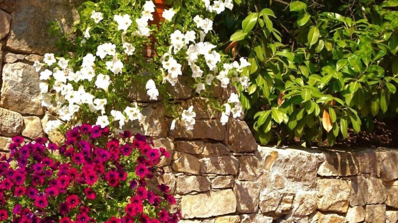 Photo of Outdoor in Speracedes