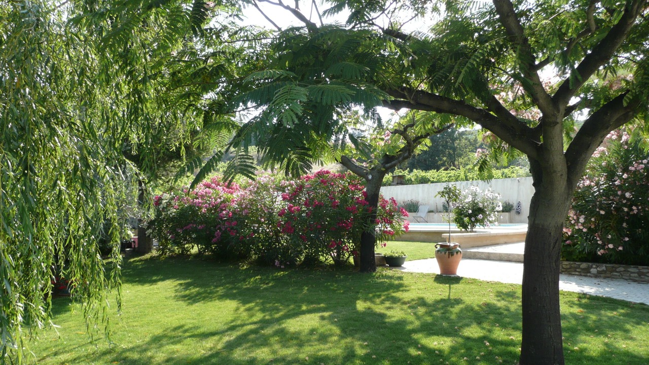 Photo of Outdoor in Buisson
