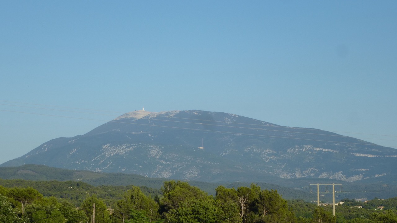 Photo of Outdoor in Buisson