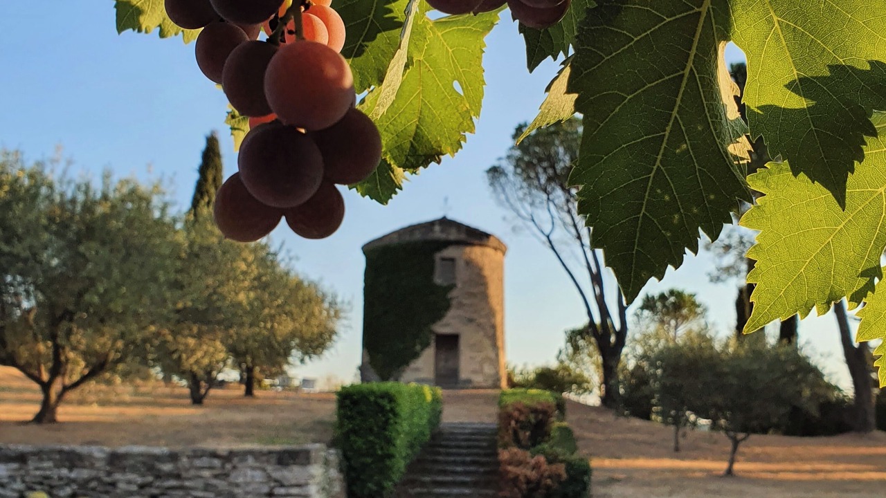 Photo of Outdoor in Venasque