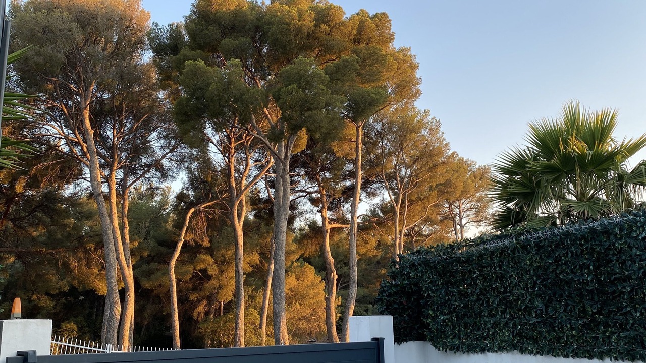 Photo of Outdoor in Sanary-sur-Mer