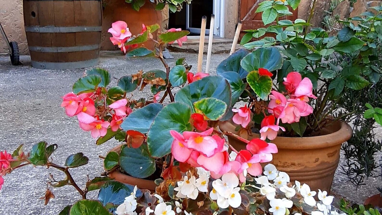 Photo of Outdoor in La Ciotat