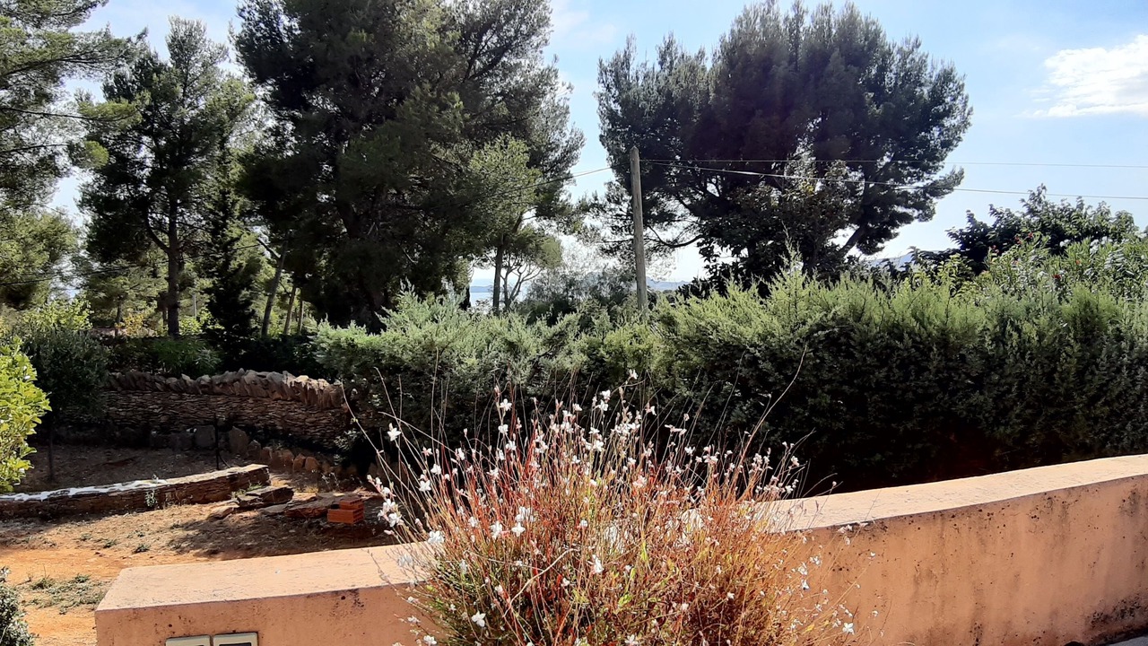 Photo of Outdoor in La Ciotat