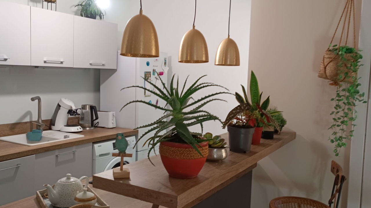 Photo of Kitchen in Lattes