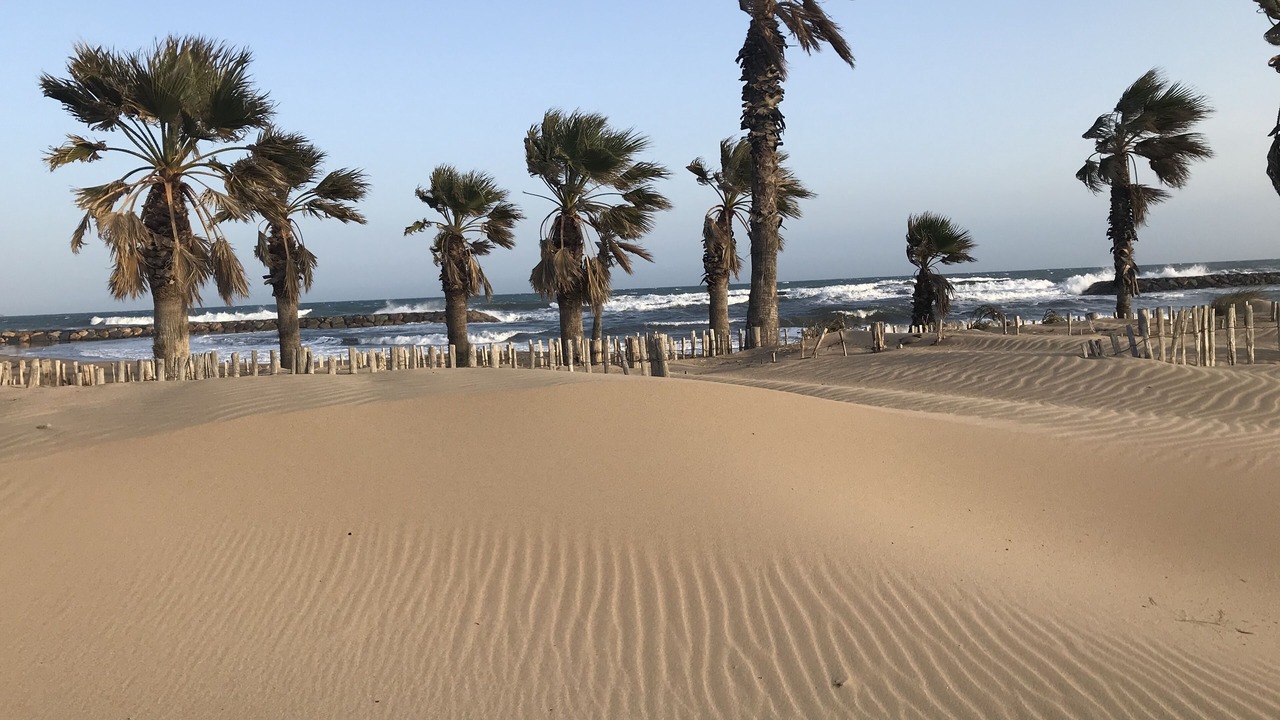 Photo of Others in Saint-Aygulf