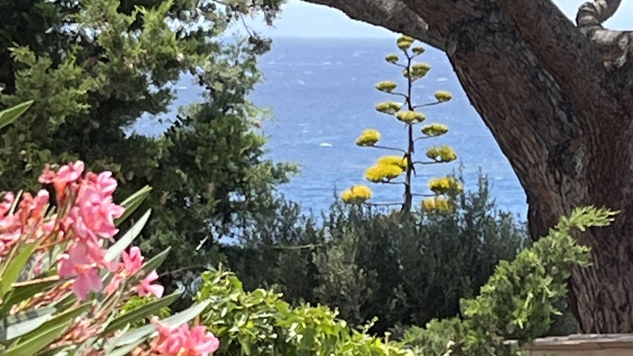 Photo of Others in Giens