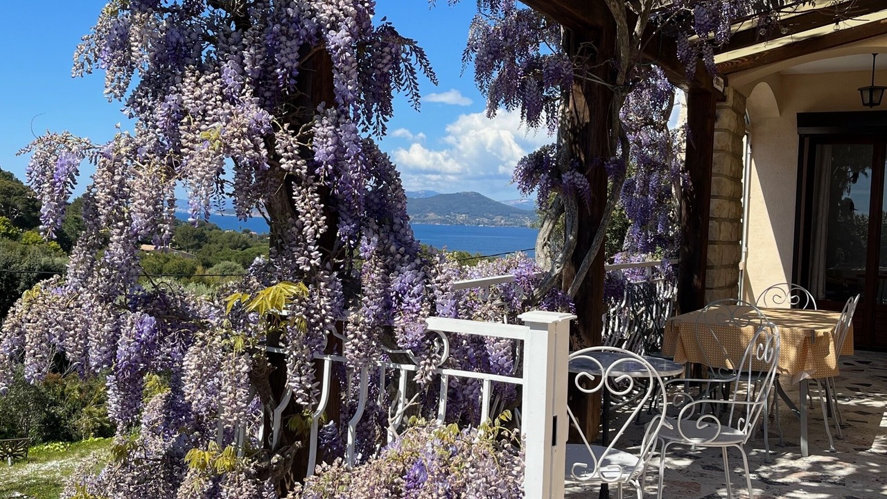 Photo of Outdoor in Giens