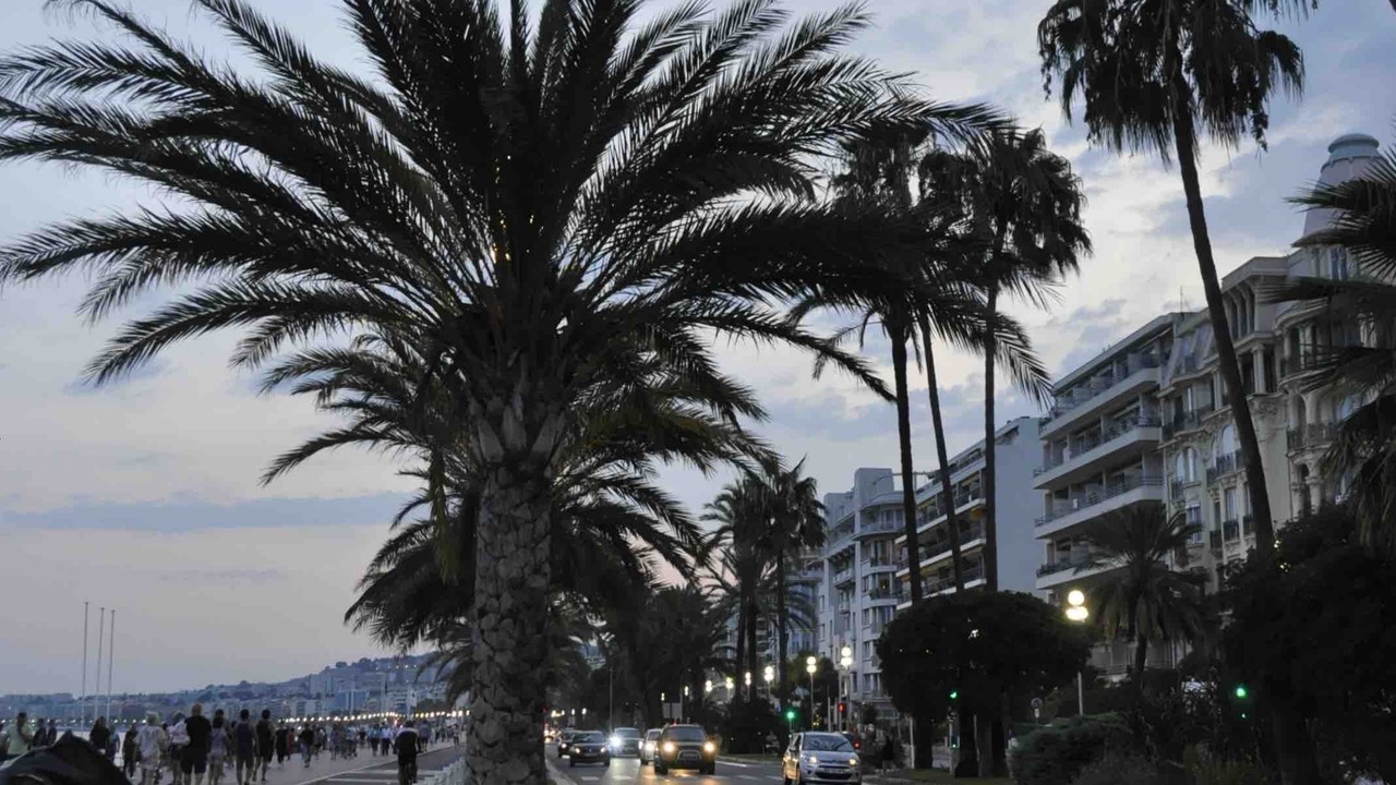 Photo of Outdoor in Nice City Centre