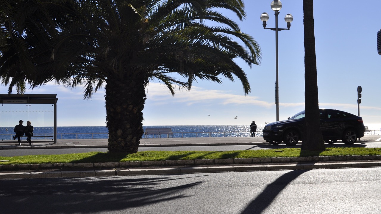 Photo of Others in Nice City Centre