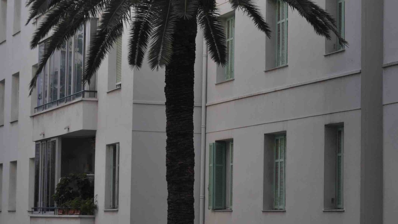 Photo of Outdoor in Nice City Centre