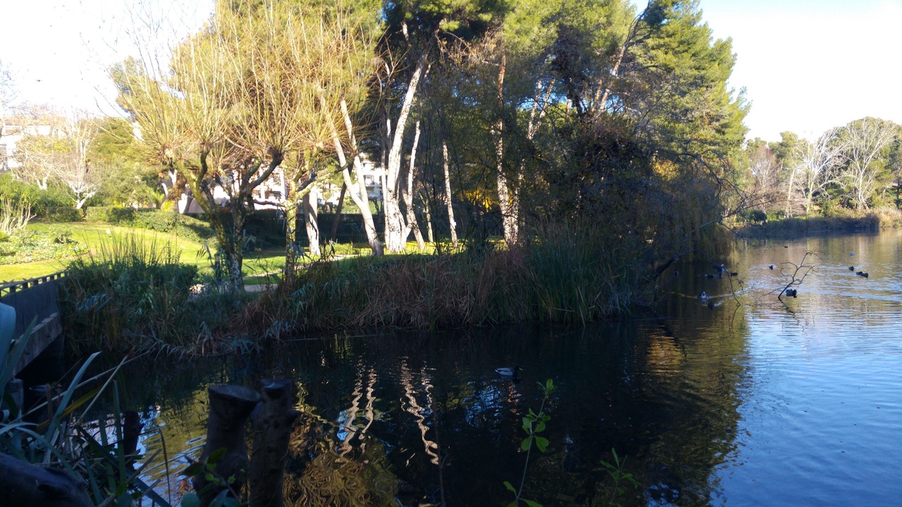 Photo of Outdoor in Six-Fours-les-Plages