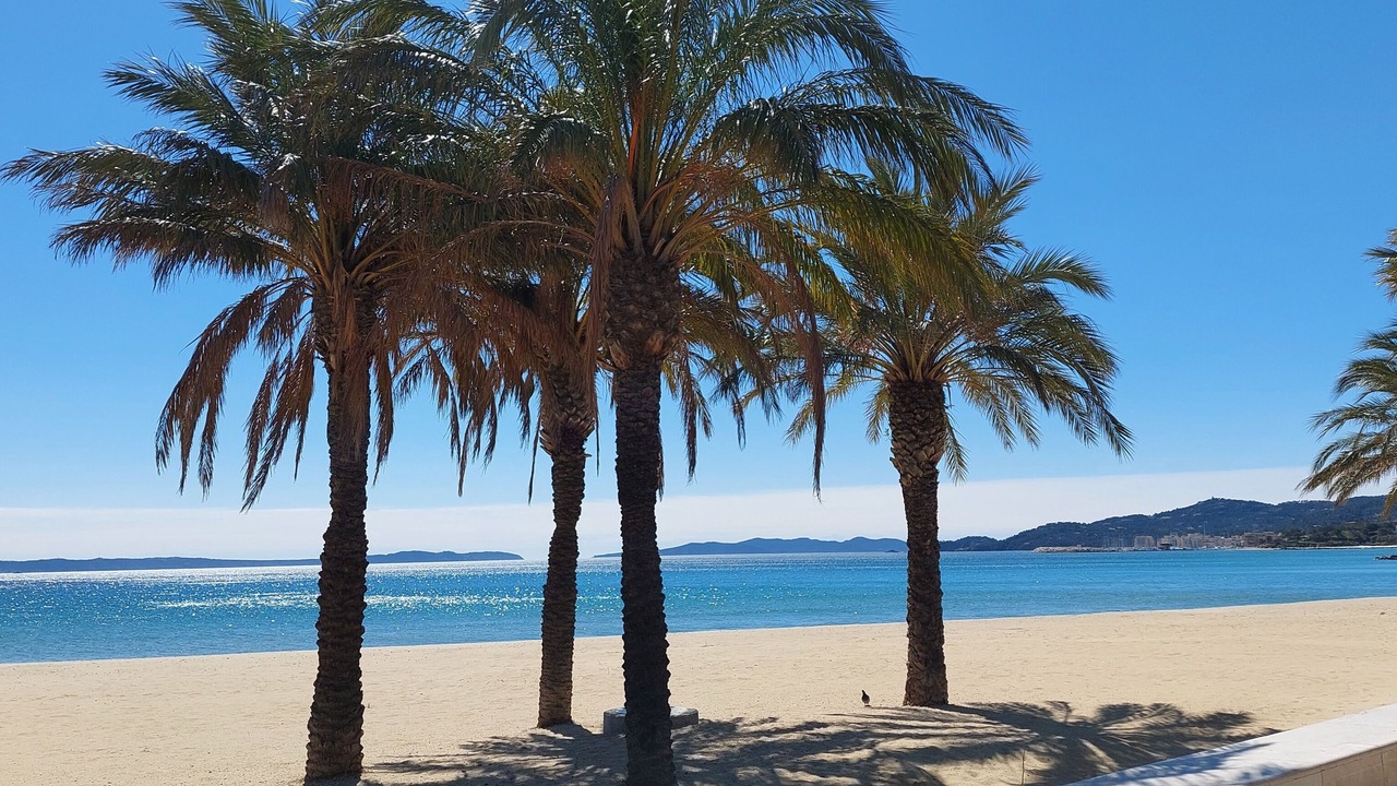 Photo of Others in Miramar
