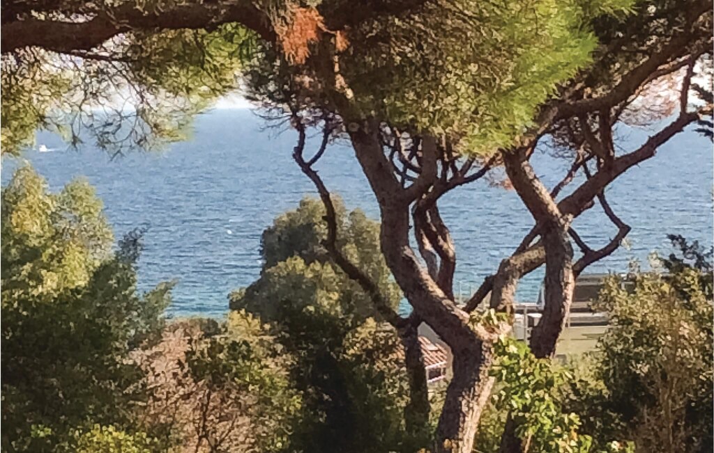 Photo of Outdoor in Plage de la Garonnette