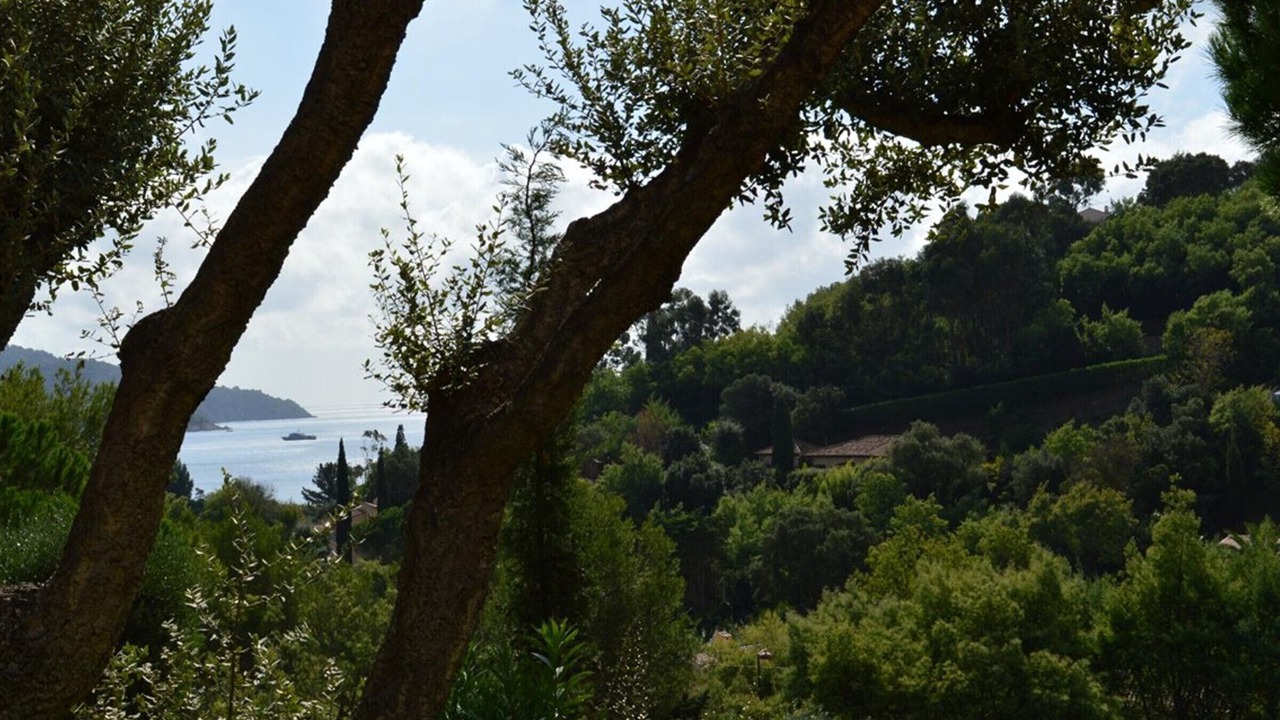 Photo of Others in La Croix-Valmer