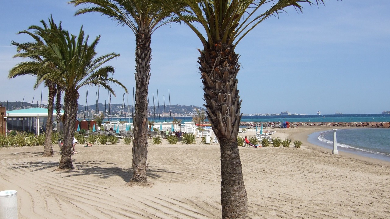 Photo of Others in Mandelieu-la-Napoule Beach