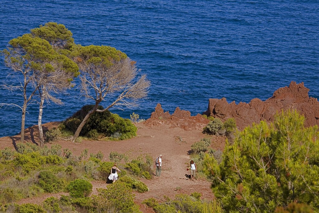 Photo of Others in Frejus Plage