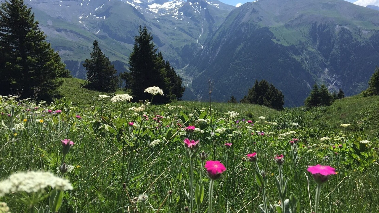 Photo of Outdoor in Les Sciauds