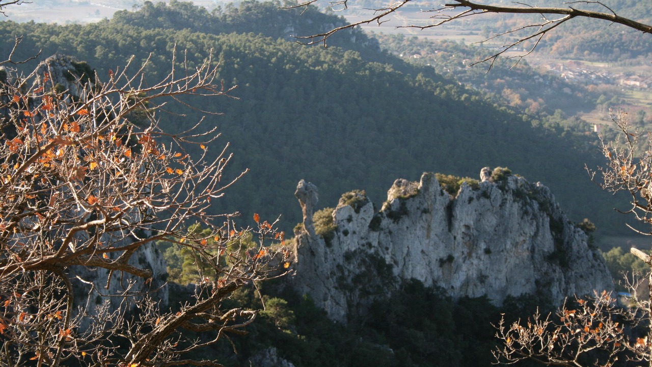 Photo of Others in Meounes-les-Montrieux