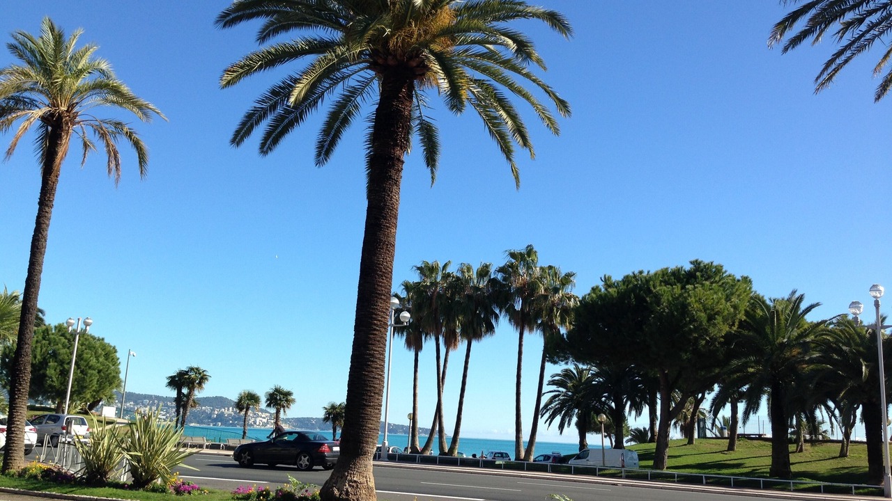 Photo of Others in La Californie