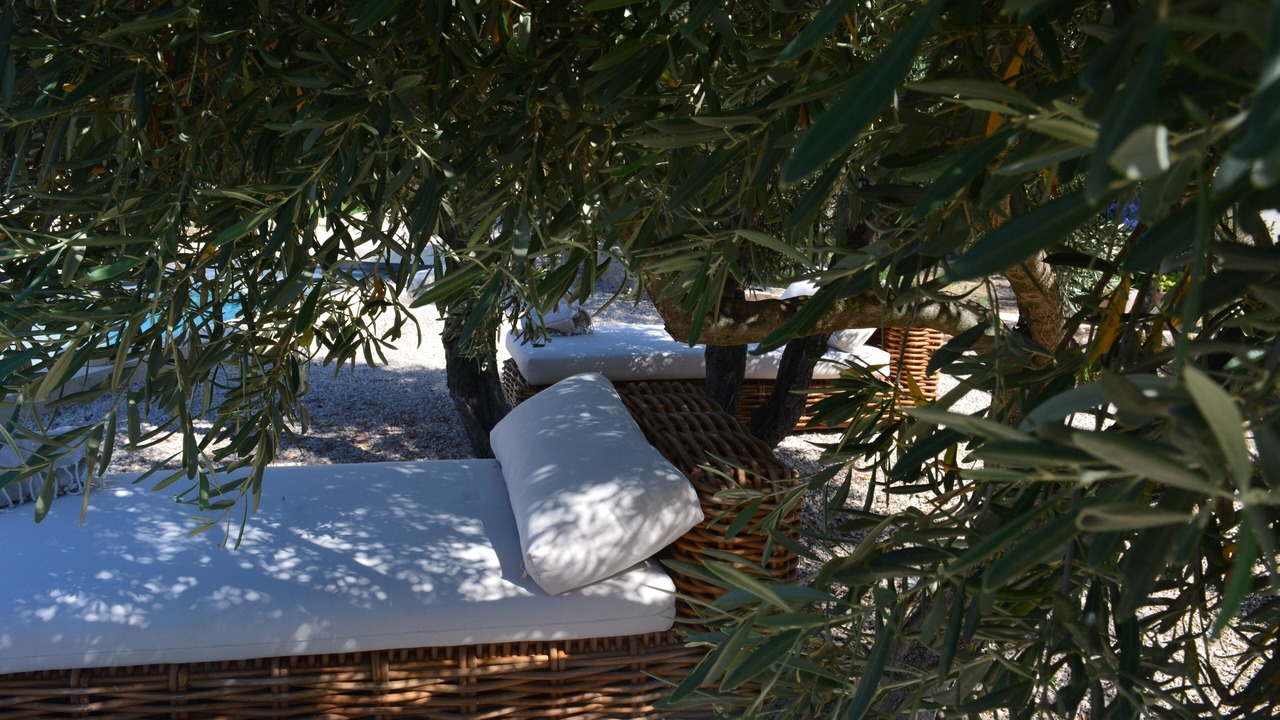 Photo of Outdoor in Aureille