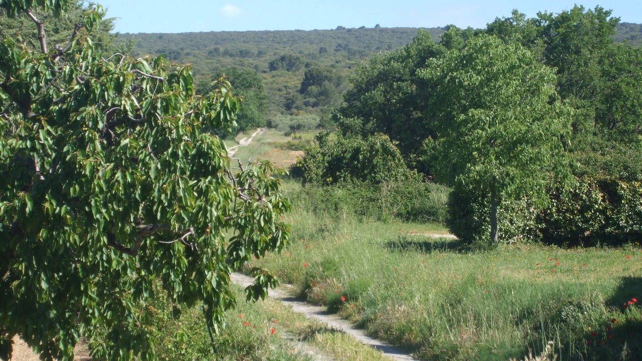 Photo of Outdoor in Les Cordiers