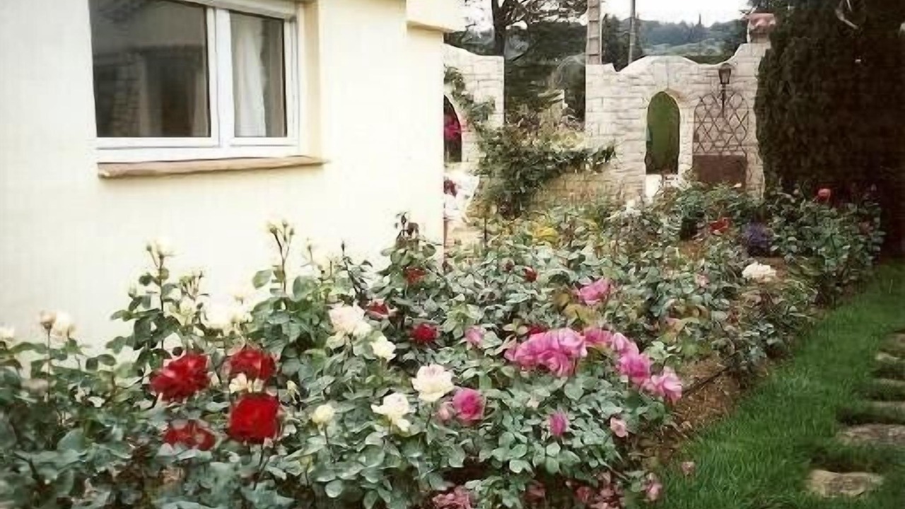 Photo of Outdoor in Ollioules
