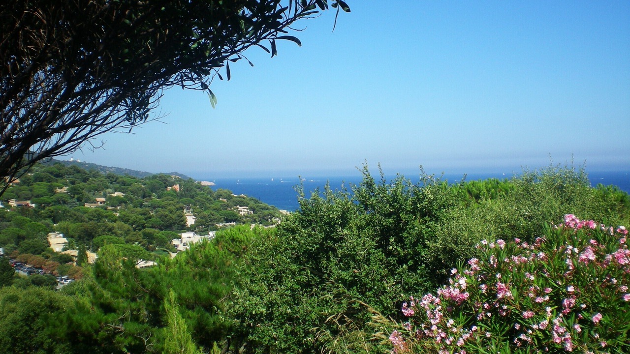 Photo of Others in Ramatuelle