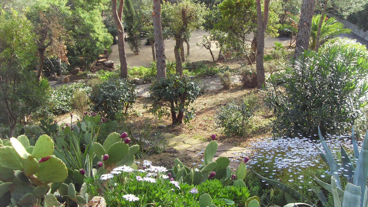 Photo of Outdoor in Ramatuelle