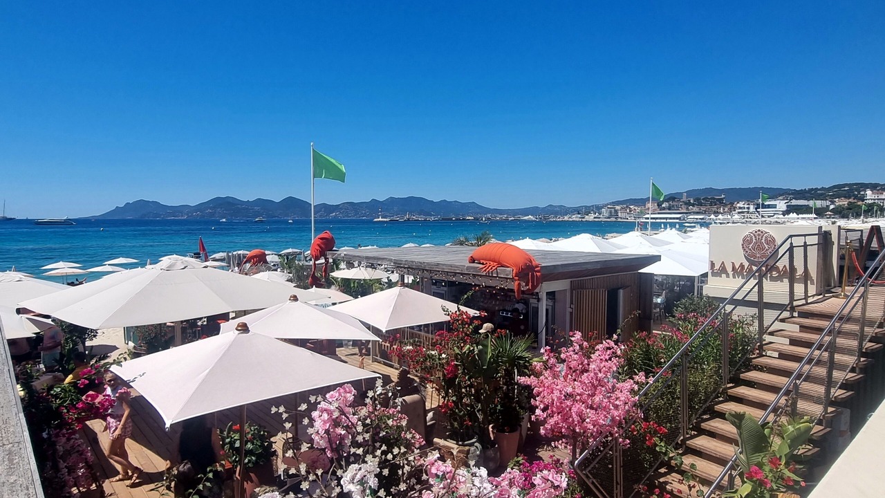 Photo of Others in Cannes City Centre